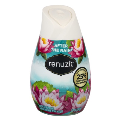 Renuzit - After the Rain Gel Air Freshener
