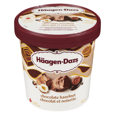 Haagen Dazs Ice Cream - Chocolate Hazelnut