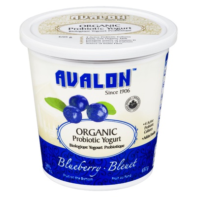 AVALON ORG PROBTC YOGURT BLUEBERRY 2.6%
