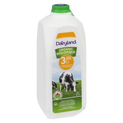 Dairyland ORGANIC HOMO MILK