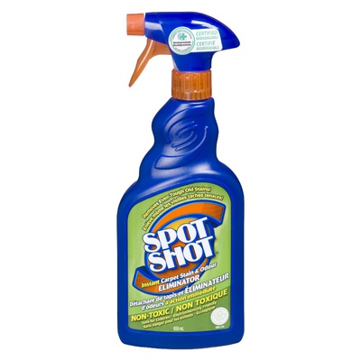 SPOT SHOT STAIN RMVR CRPT