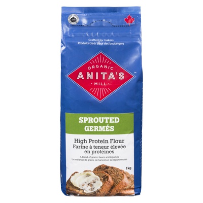 ANITA'S ORGNC HIGH PROTEIN FLOUR