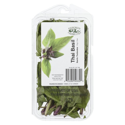 Roots Evergreen Thai Basil