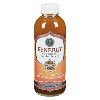 Synergy - Raw Kombucha Grape Beverage