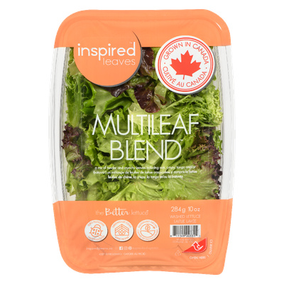 Inspired Greens - Fresh & Fun Mixed Greens