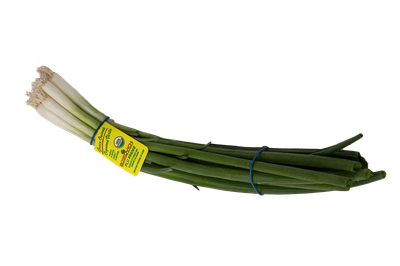 Organic Green Onions