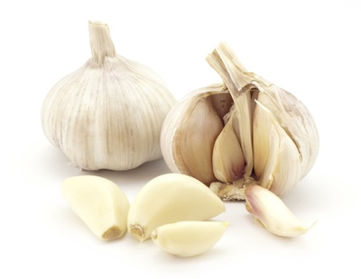 GARLIC - 3 Pack Organic