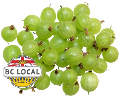 Local Gooseberries
