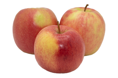 APPLES PINK LADY