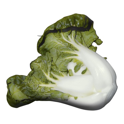 BOK CHOY BABY
