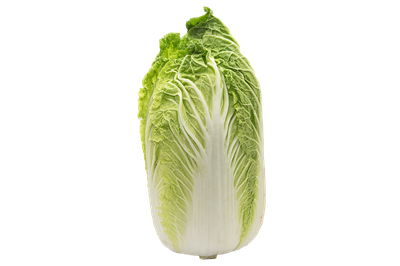 Sui Choy Cabbage (Napa)