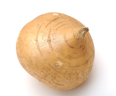 ROOTS JICAMA
