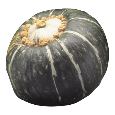 SQUASH ACORN GOLDEN