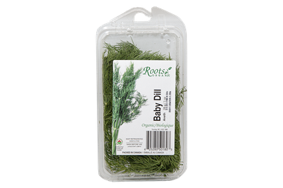 HERBS BABY DILL