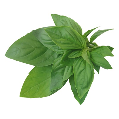 Roots Organic - Basil