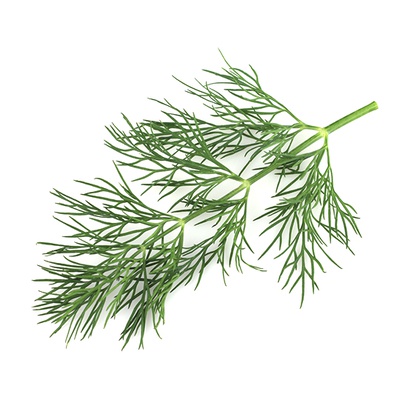 Roots Organic Baby Dill