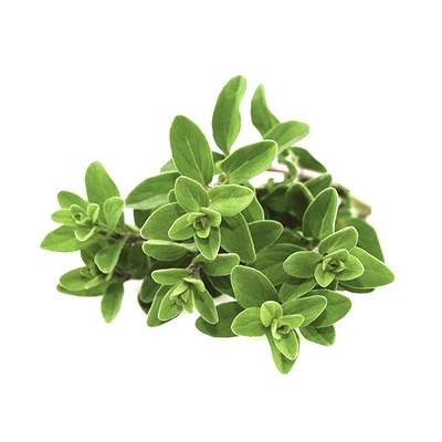 Roots Organic Marjoram