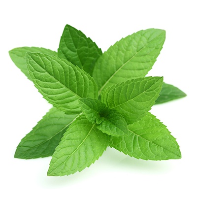 ROOTS MINT ORGANIC