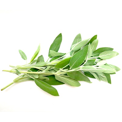Roots Organic - Sage