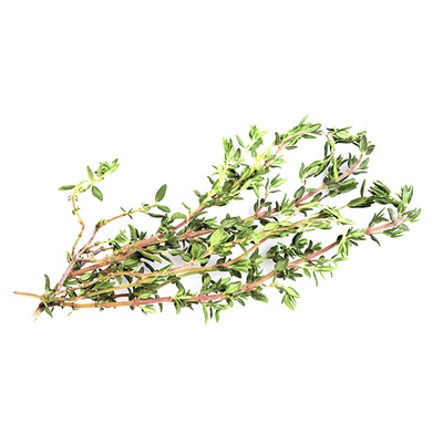 ROOTS ORGANIC THYME