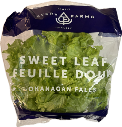Avery Farms - Sweet Leaf Living Lettuce
