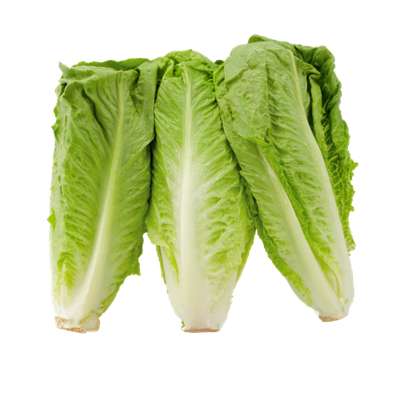 MANN'S ROMAINE HEARTS
