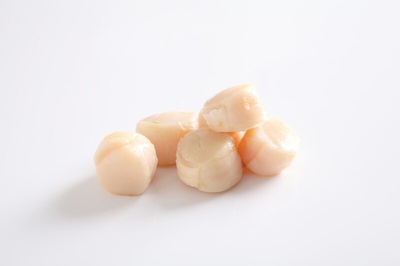 FROZEN PERU SCALLOPS