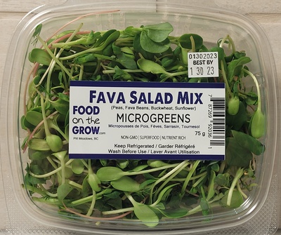 Food on the Grow - Fava Microgreens