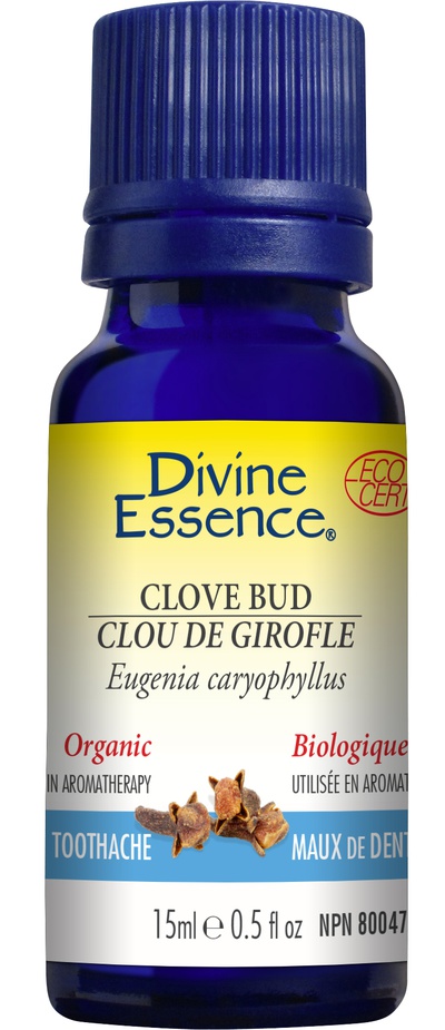 Divine Essence -  Organic Clove Bud Essential Oil