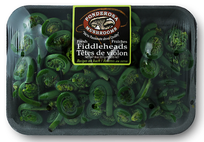 Ponderosa - Fiddlehead Greens