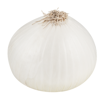 ORGANIC WHITE ONIONS