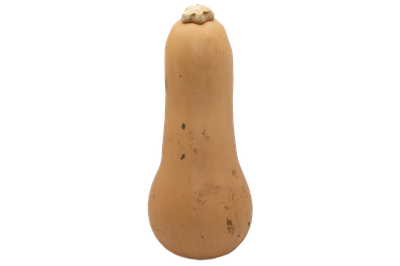 ORGANIC SQUASH BUTTERNUT