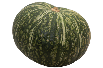 ORGANIC SQUASH BUTTERCUP
