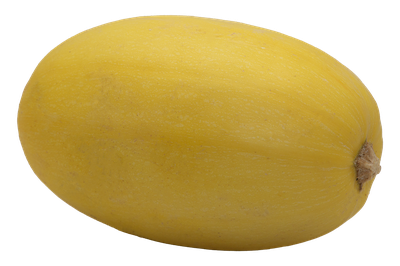 ORGANIC SQUASH SPAGHETTI