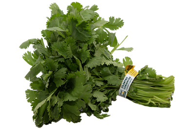 ORGANIC HERBS CILANTRO