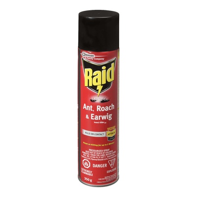 RAID ANT,ROACH&EARWIG SPRAY