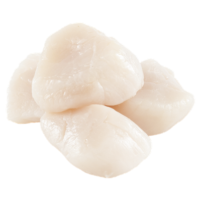 Scallops - Jumbo